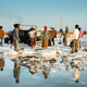 Image for article titled In photos: A day in a child’s hellish life in Gujarat’s salt pans